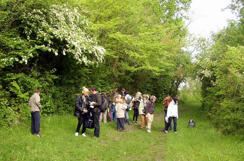 2009 Marais de la Voise 03